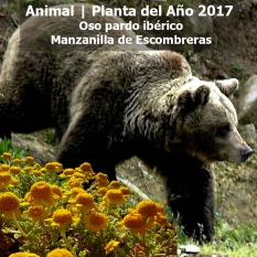 PlantaAño2017